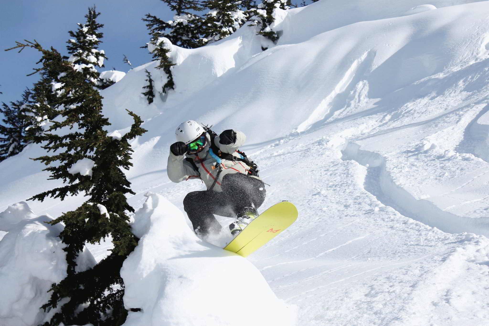 بہترین فری اسٹائل سنو بورڈز 2025 - مردوں اور خواتین کے