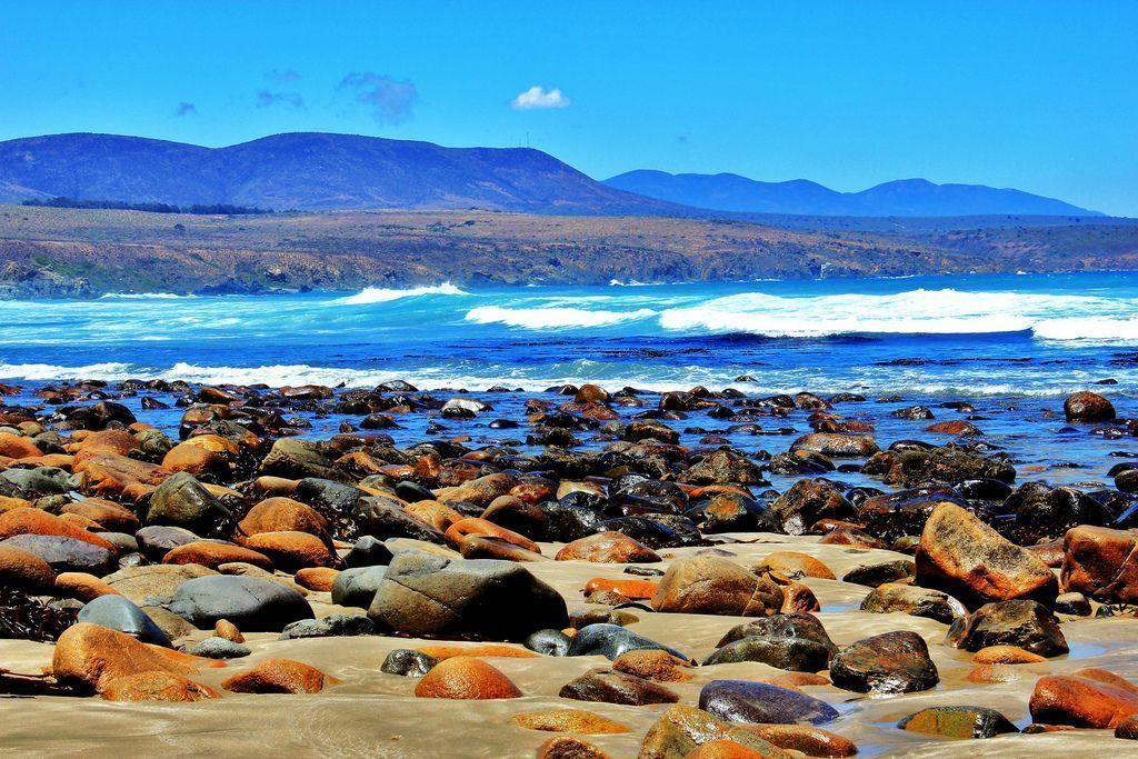 Repaso a los mejores campamentos infantiles en el mar en 2025