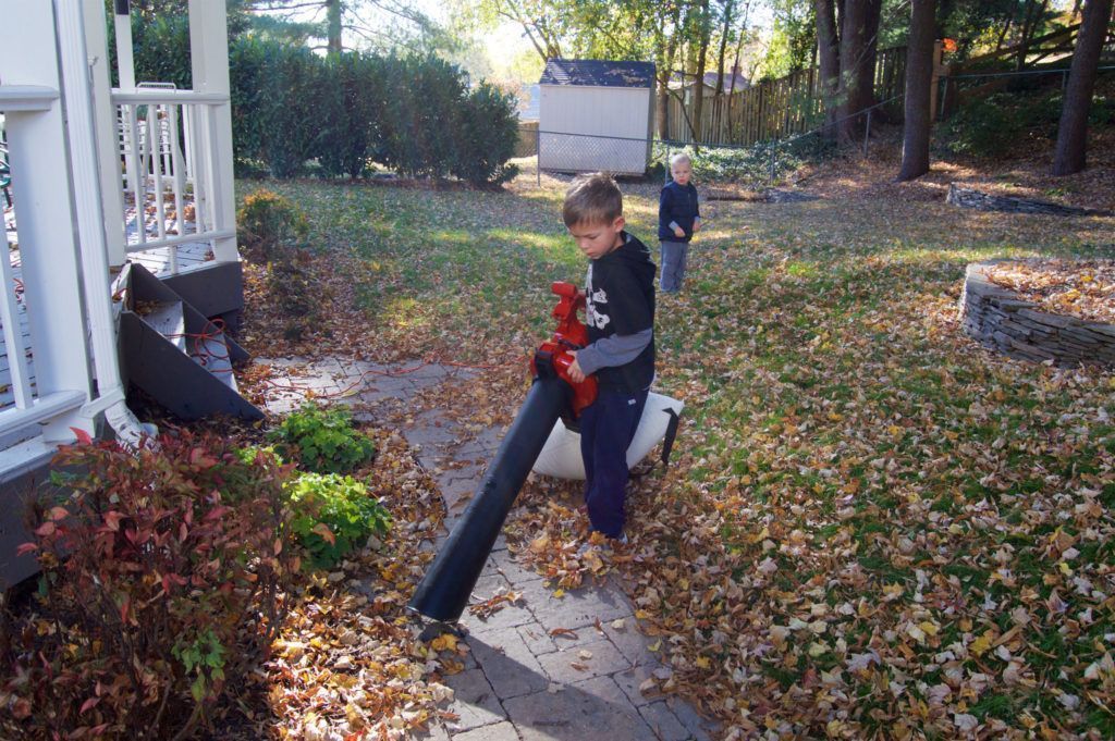 مكنسة يدوية للحديقة