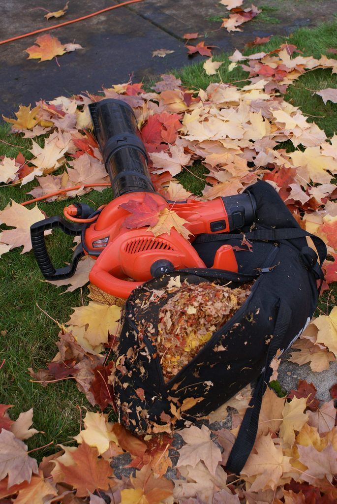 وظائف المنفاخ