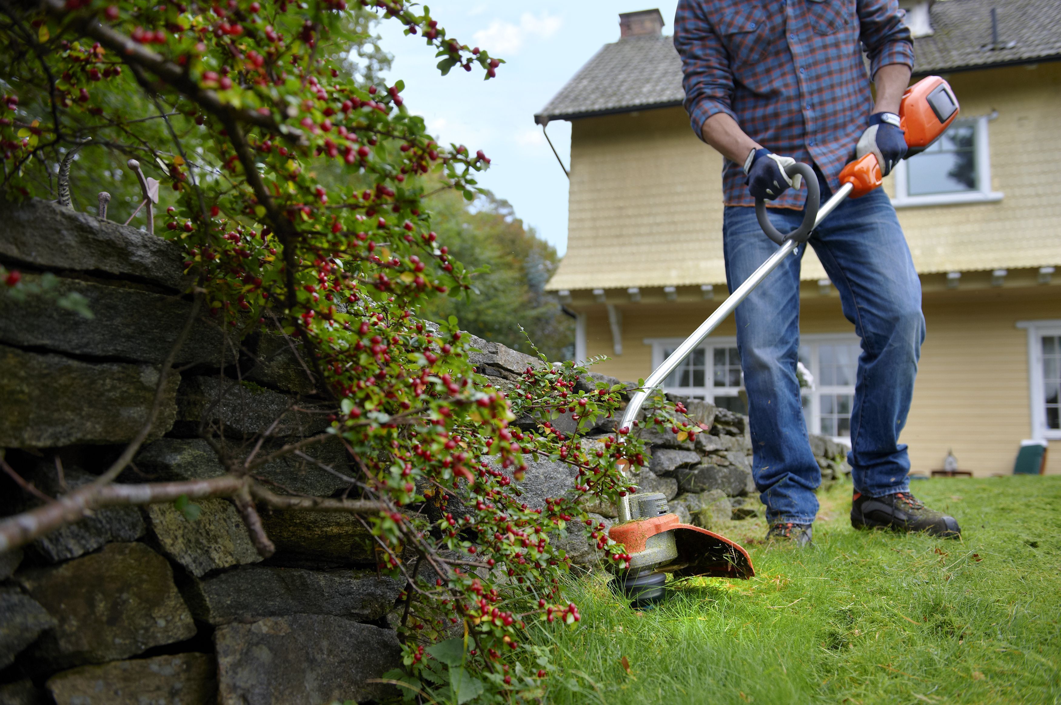 بہترین گراس ٹرمرز 2025 کی درجہ بندی - گیس اور بجلی