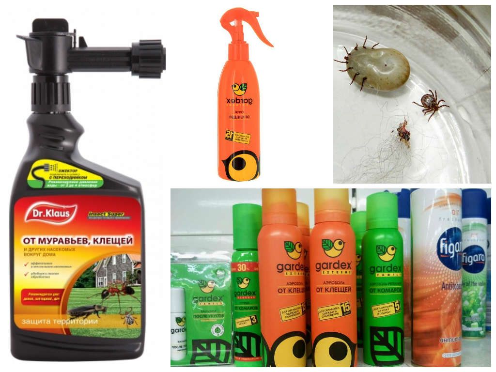 2025 میں انسانوں کے لیے ٹک کے بہترین علاج کی درجہ بندی