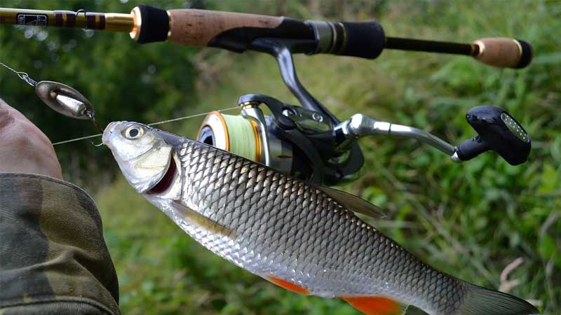 Peringkat batang pemintal ultralight terbaik pada tahun 2025