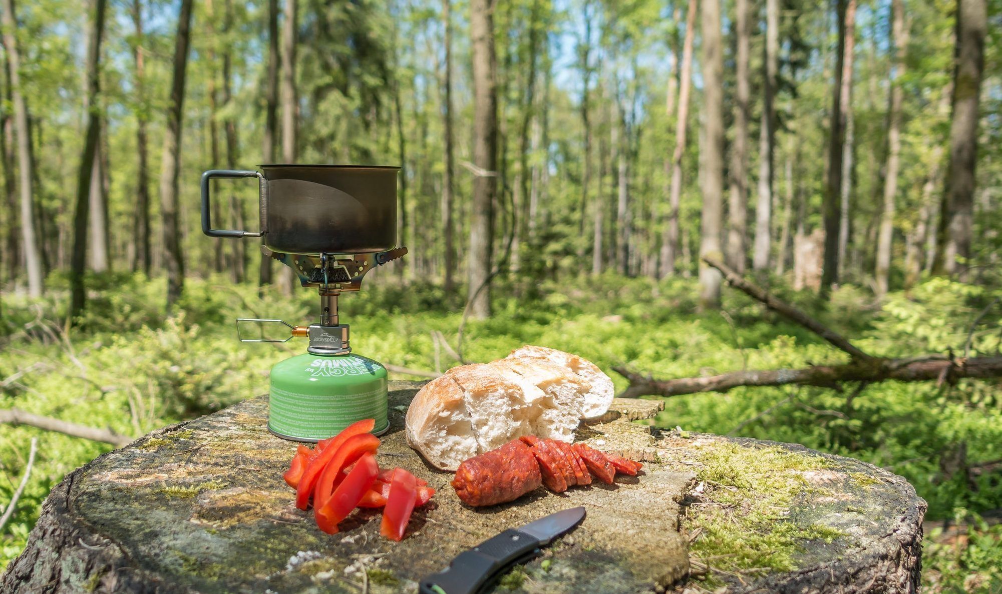 2025 میں سیاحت کے لیے بہترین برنرز کی درجہ بندی