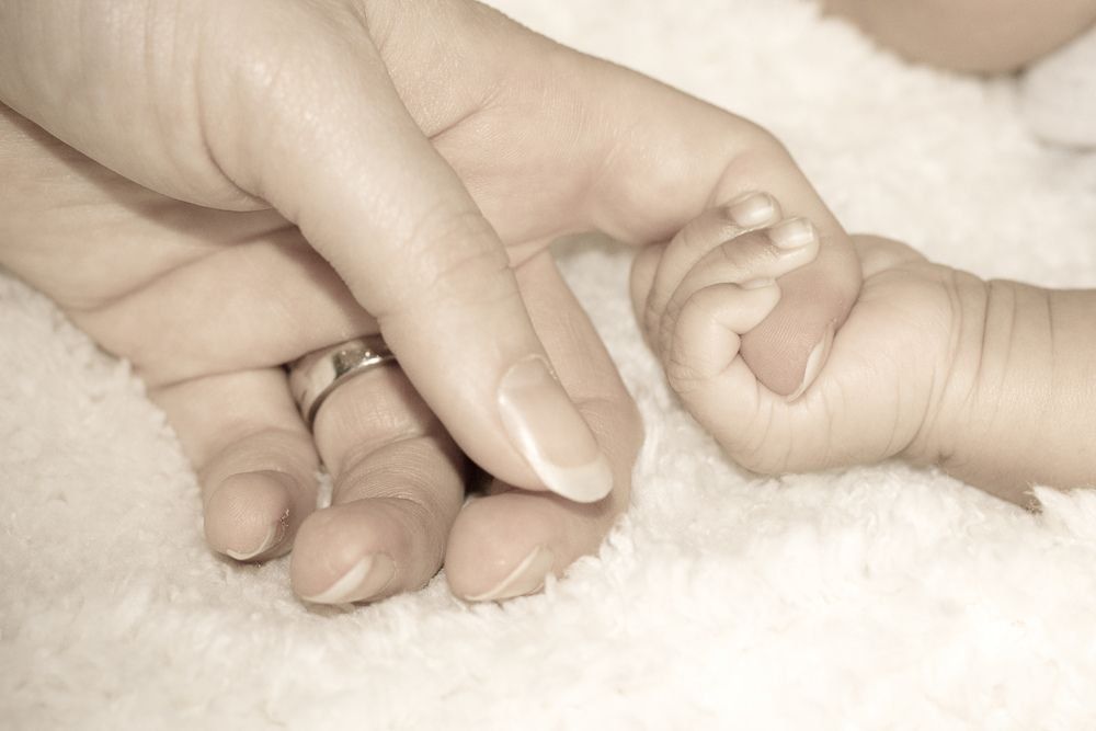 2025 میں وولگوگراڈ شہر میں زچگی کے ہسپتالوں کا جائزہ