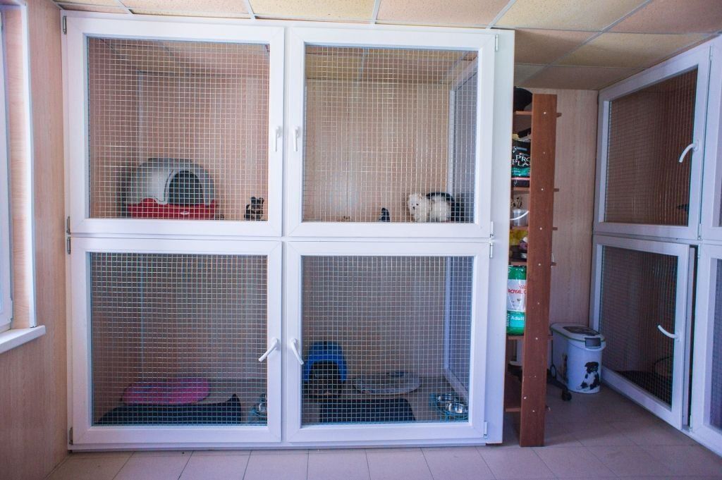 2025 میں Voronezh میں جانوروں کے لیے بہترین ہوٹلوں کی درجہ بندی