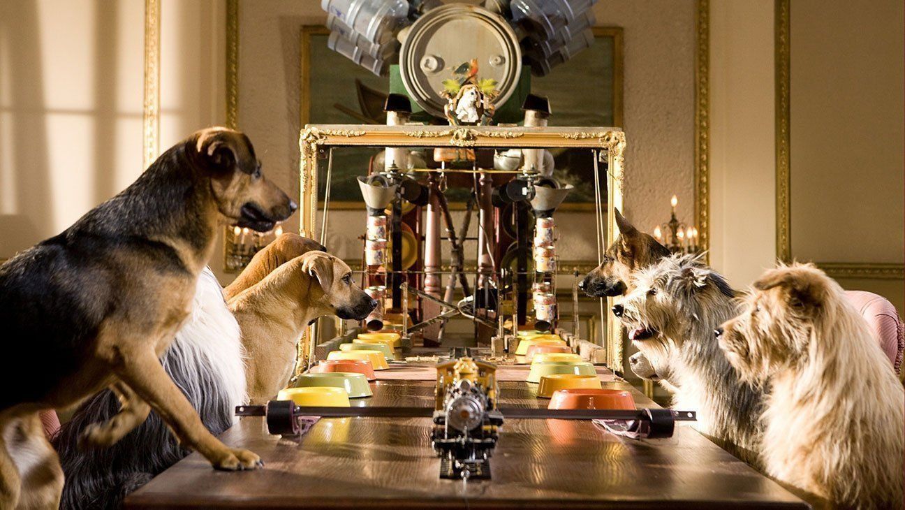 A legjobb állatbarát szállodák értékelése Volgográdban 2025-ben