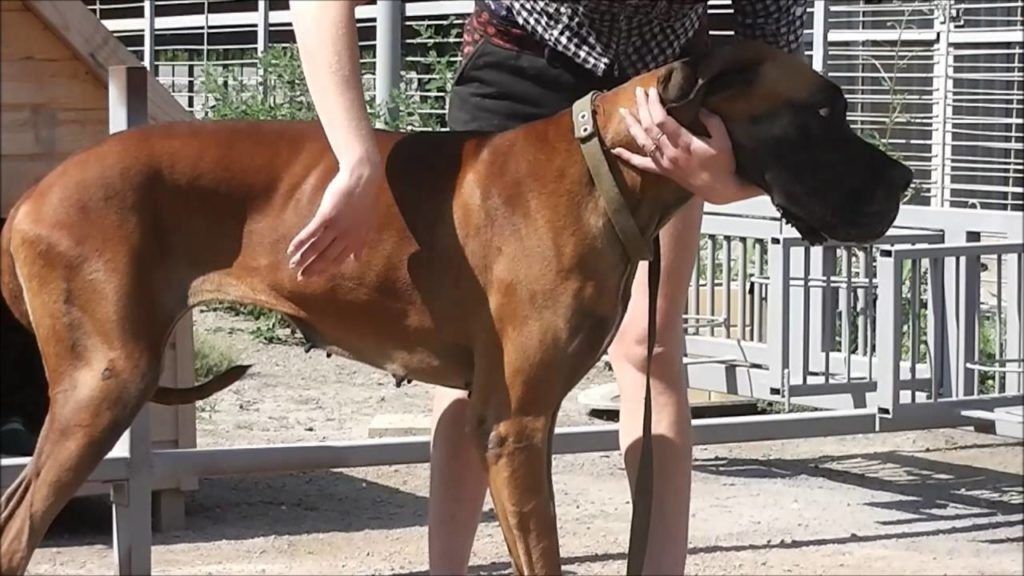 Zoo hotels in Novosibirsk