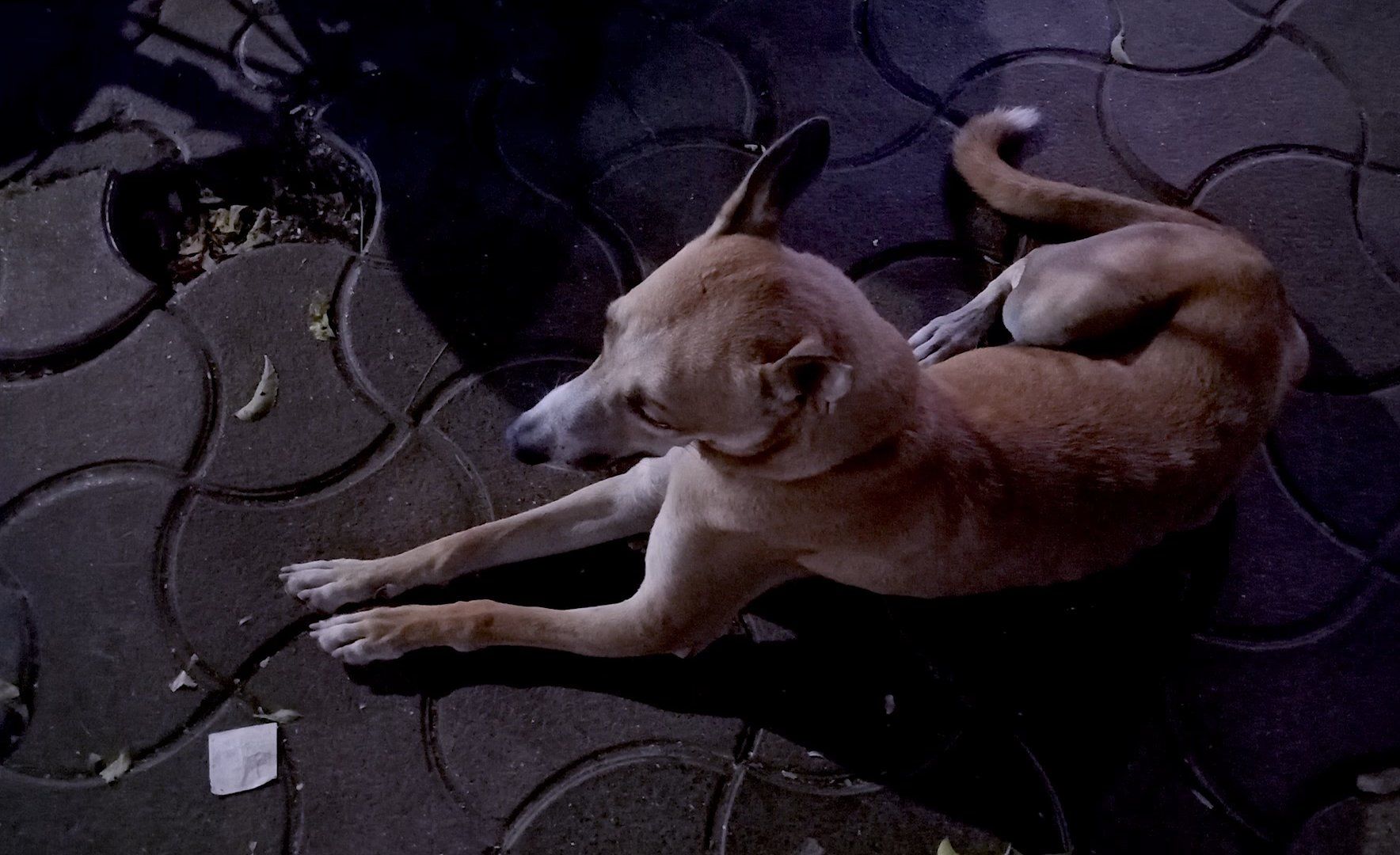 Smartphone Nokia terbaik di tahun 2025