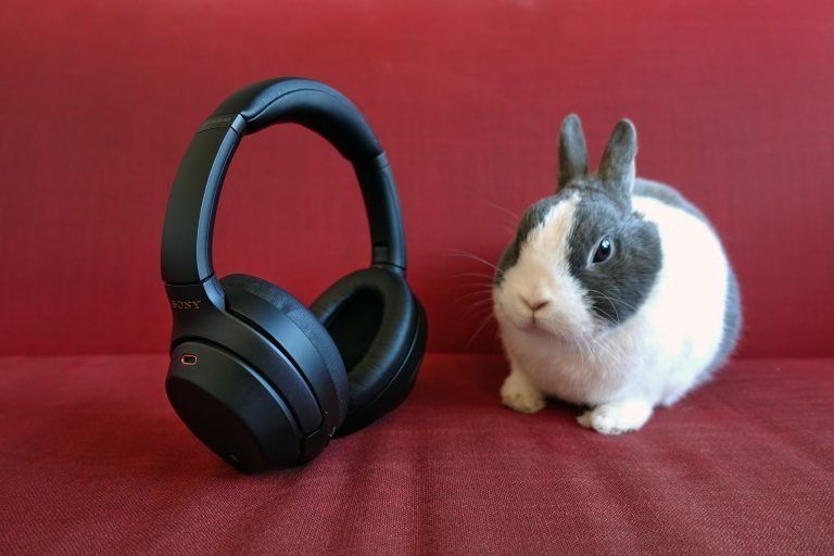 Semakan Fon Kepala Pembatal Bunyi Sony 1000X M3