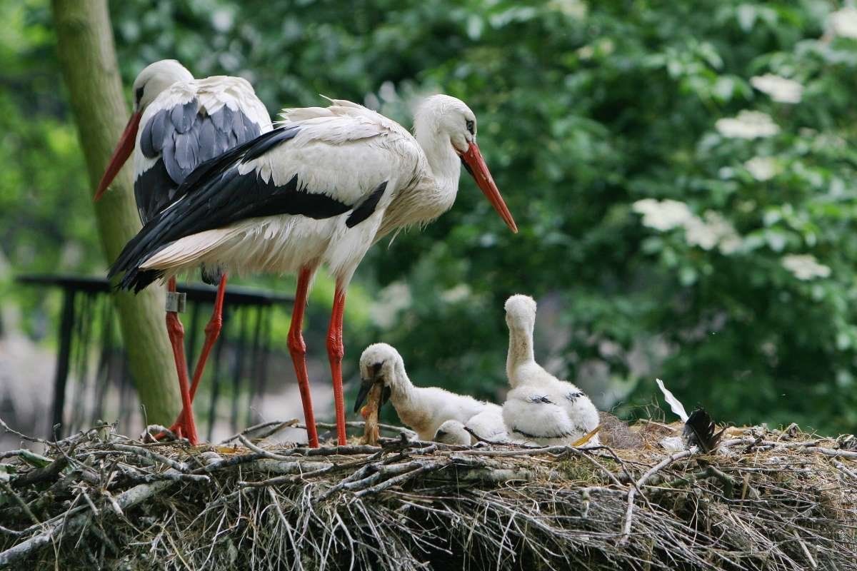 Peringkat klinik IVF terbaik di Voronezh pada 2025 dengan ulasan dan hasil positif