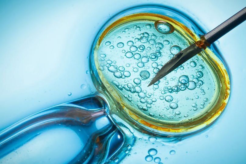 klinik IVF terbaik di Perm pada tahun 2025