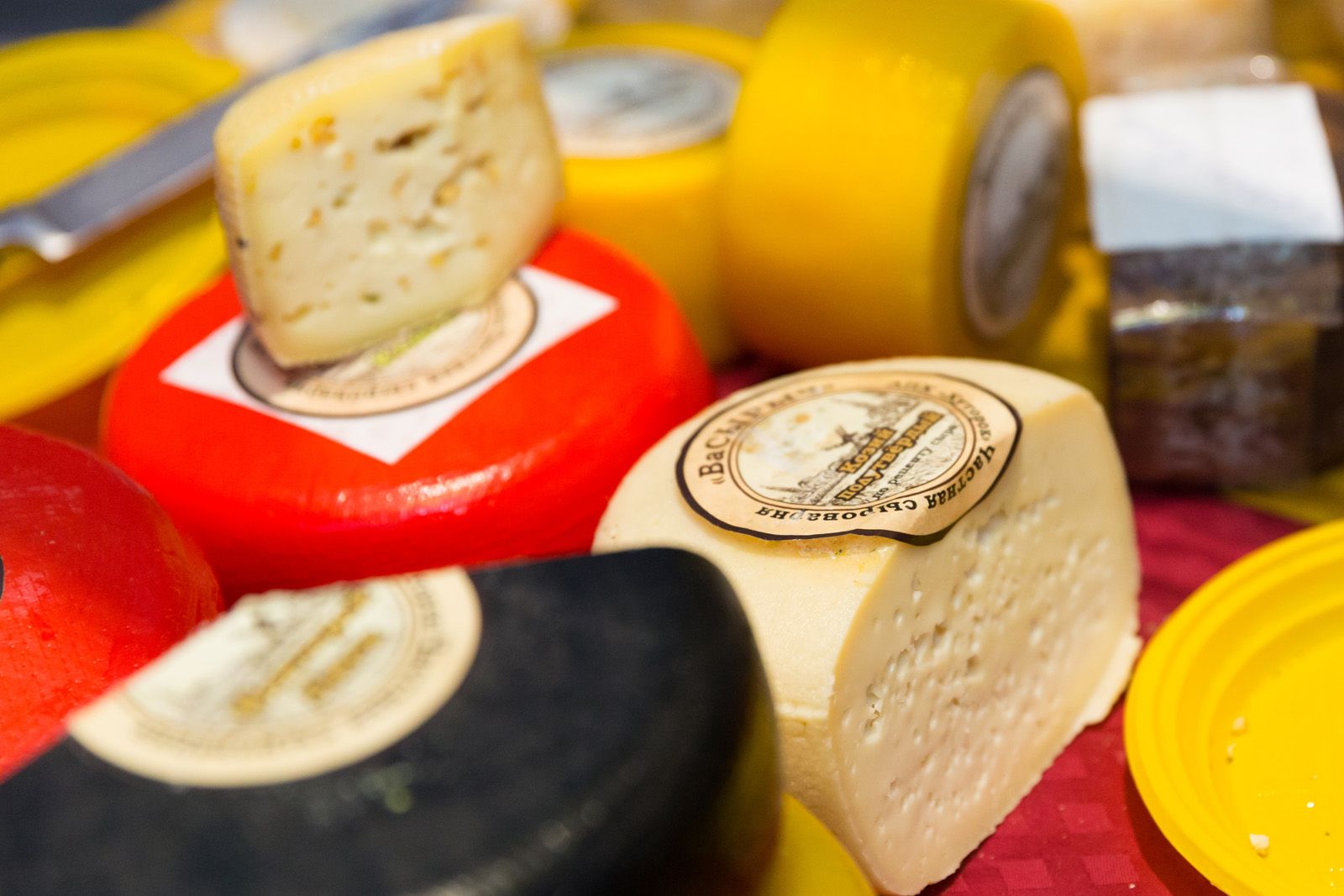 A legjobb sajttejüzemek 2025-ben