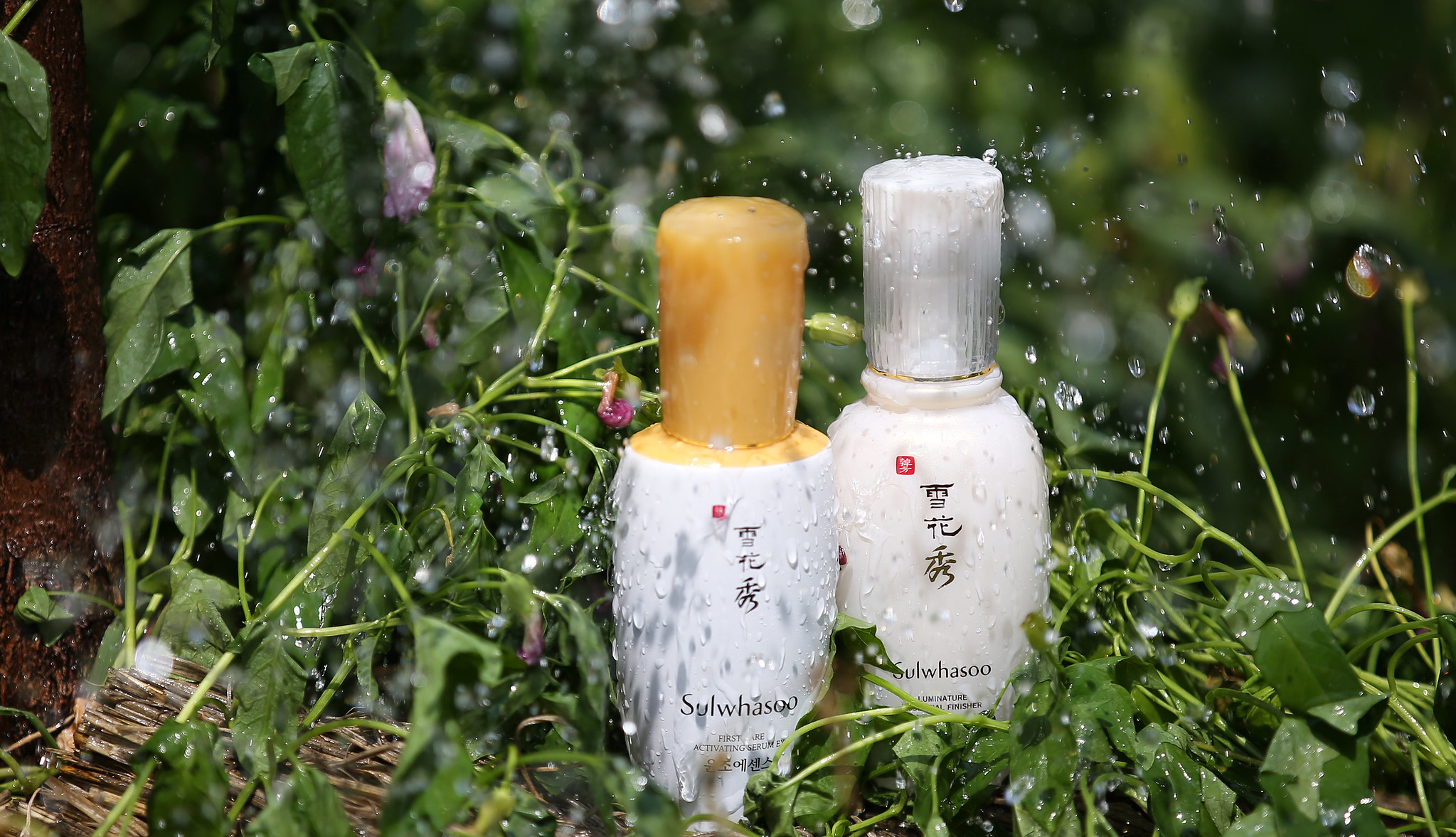 2025 میں بہترین کورین فیشل سیرم