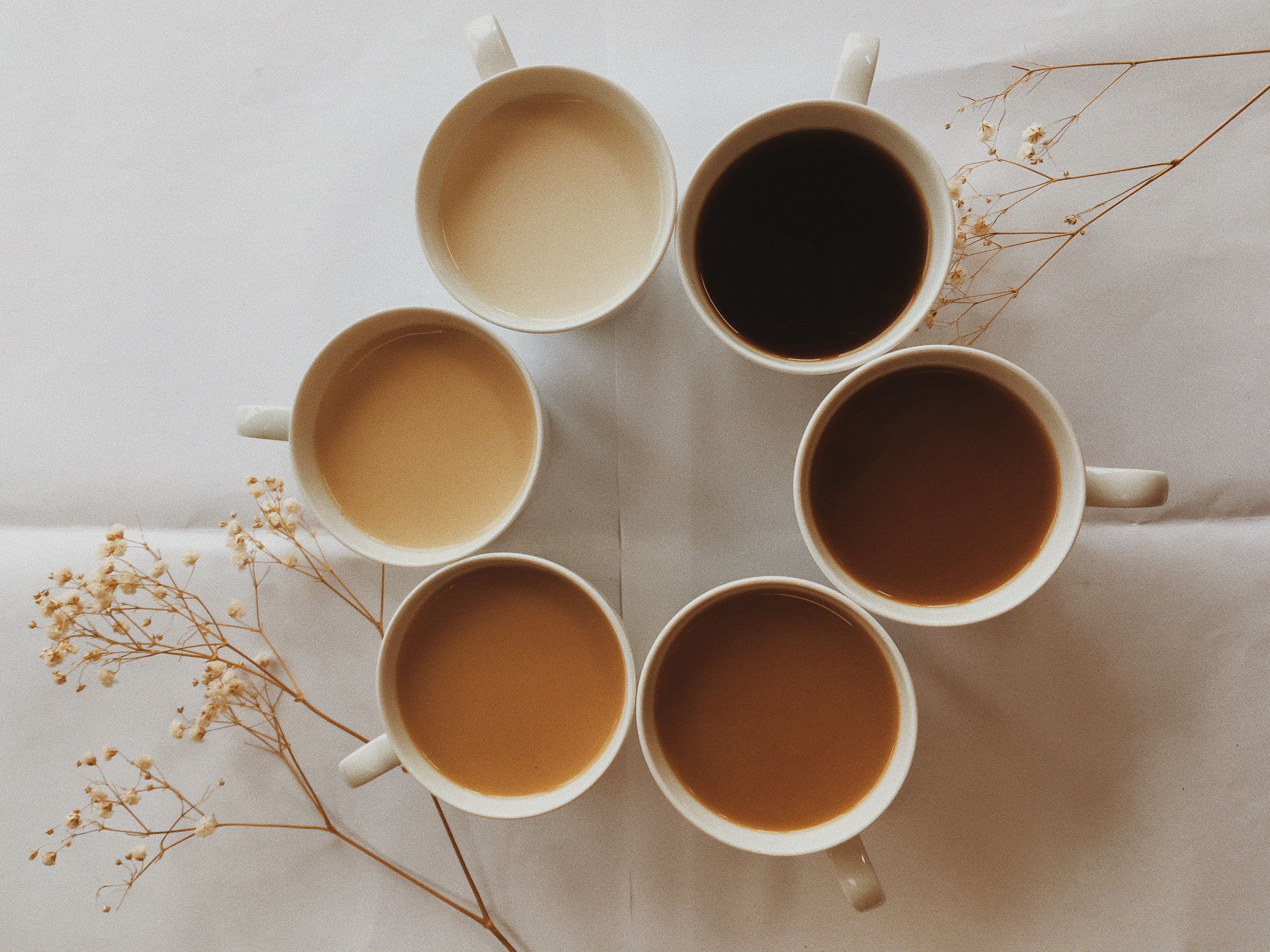 Classificação das melhores marcas de café para 2025