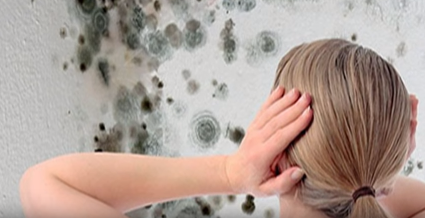 Peringkat penghilang jamur kamar mandi terbaik untuk tahun 2025