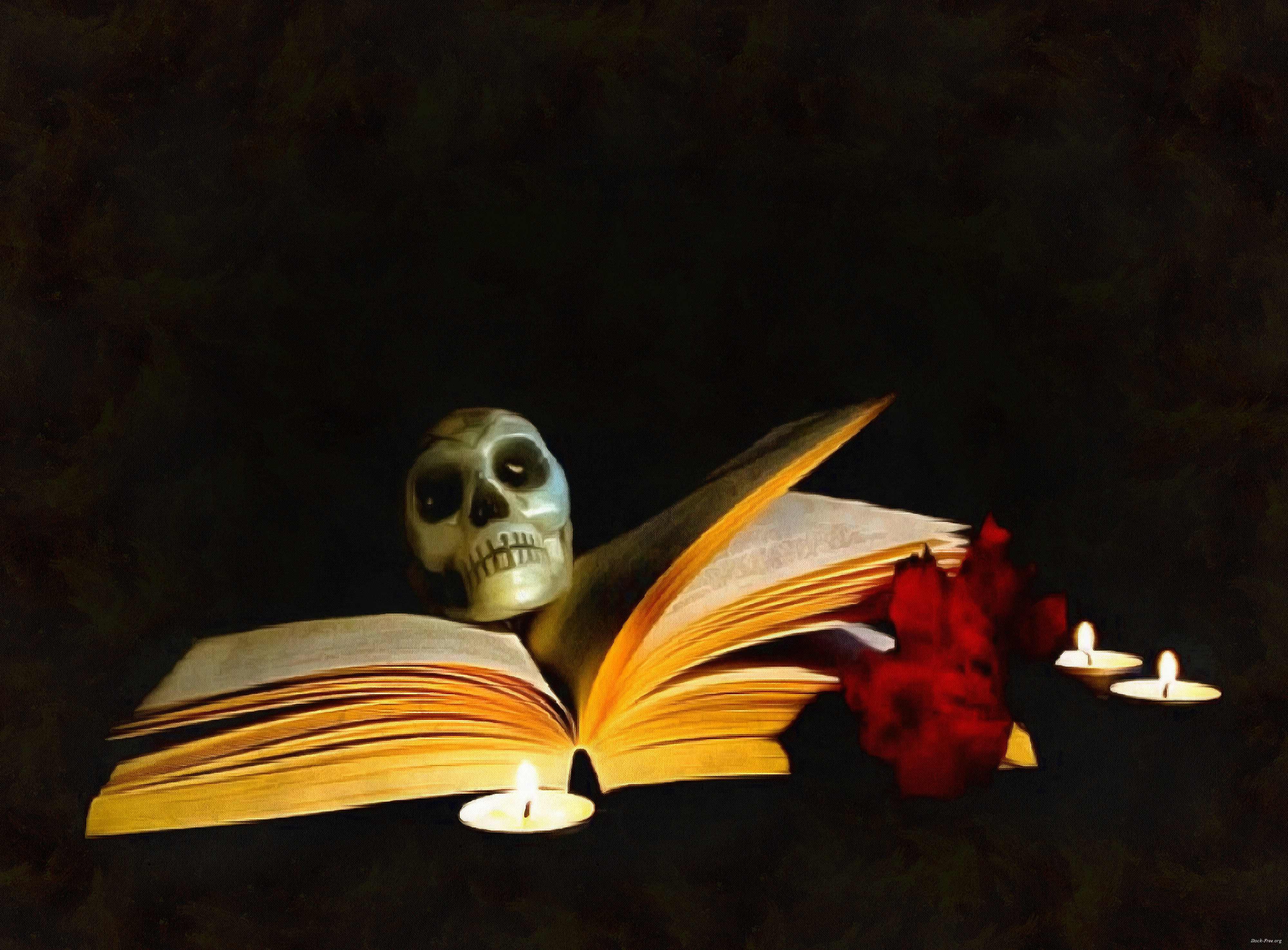 Buku Stephen King Terbaik 2025