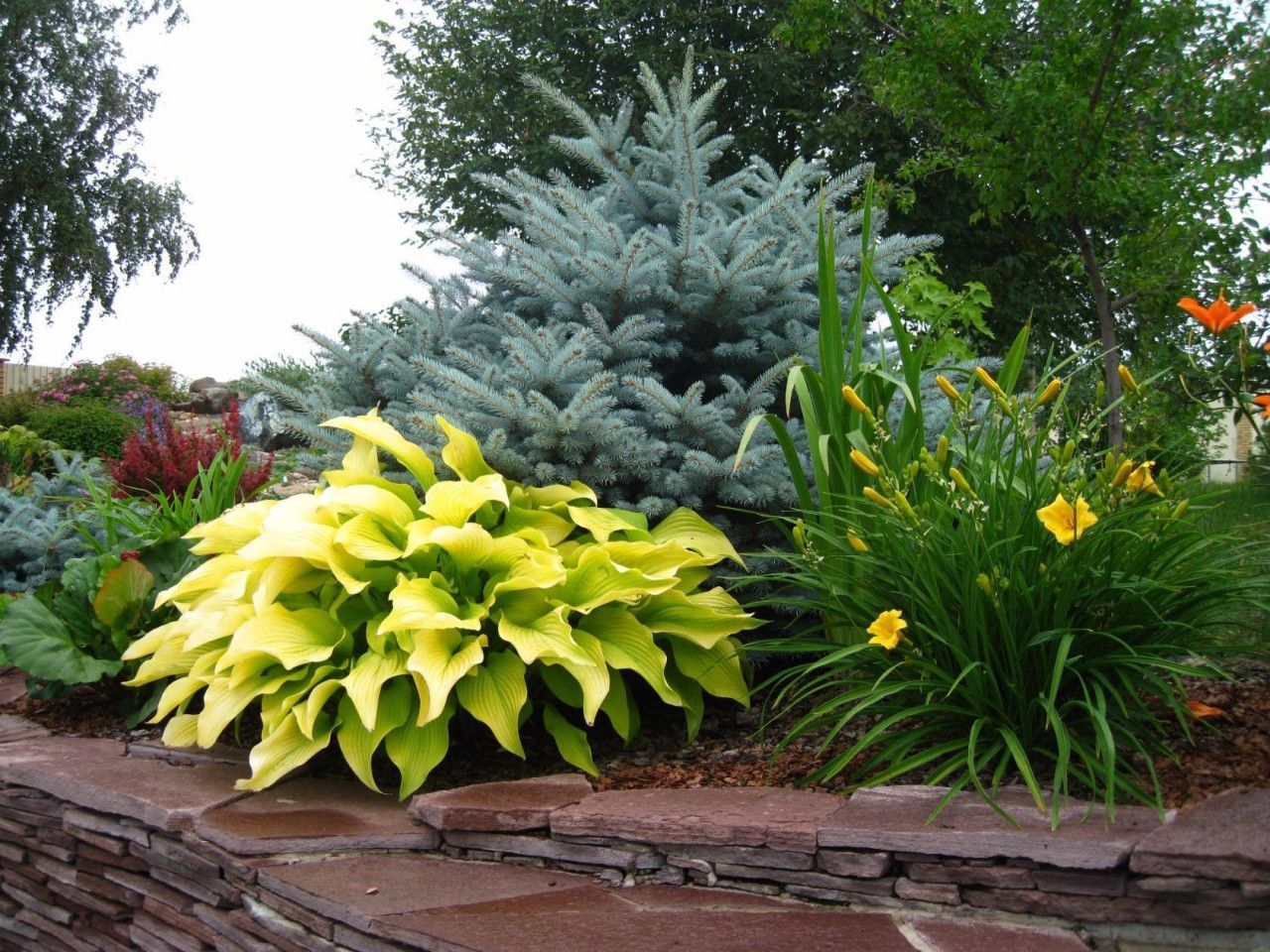 2025 کے لیے بہترین مٹی کی تیزابیت میٹر (PH میٹر) کی درجہ بندی