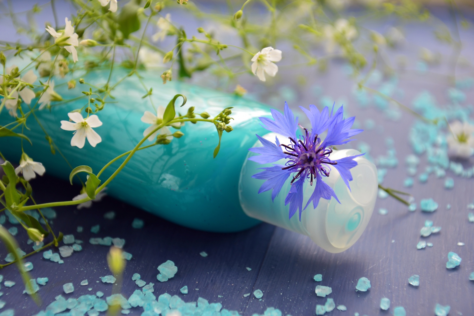 Shampo terbaik untuk rambut berwarna pada tahun 2025