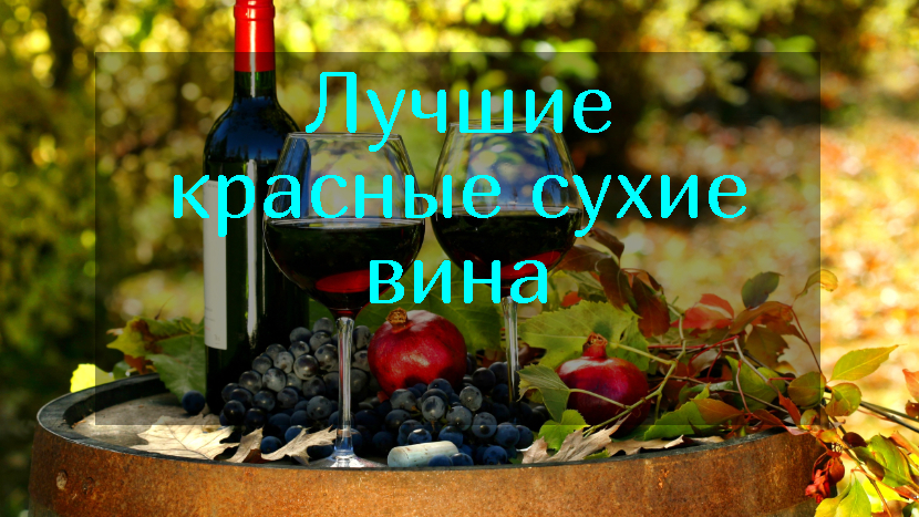 Classificação dos melhores vinhos tintos secos para 2025