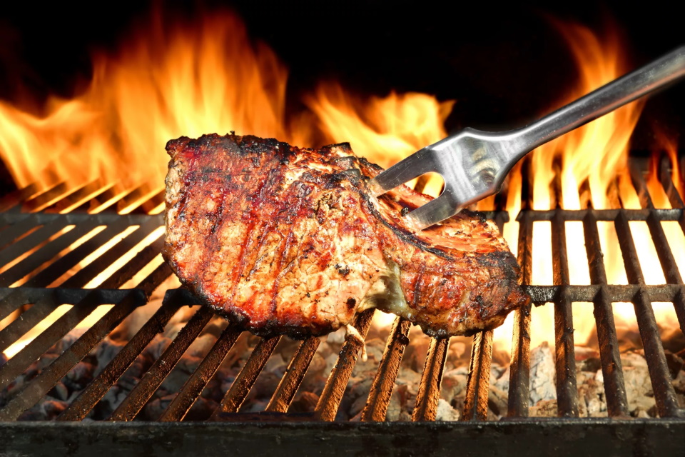 Ranking of the best outdoor barbecues for 2025