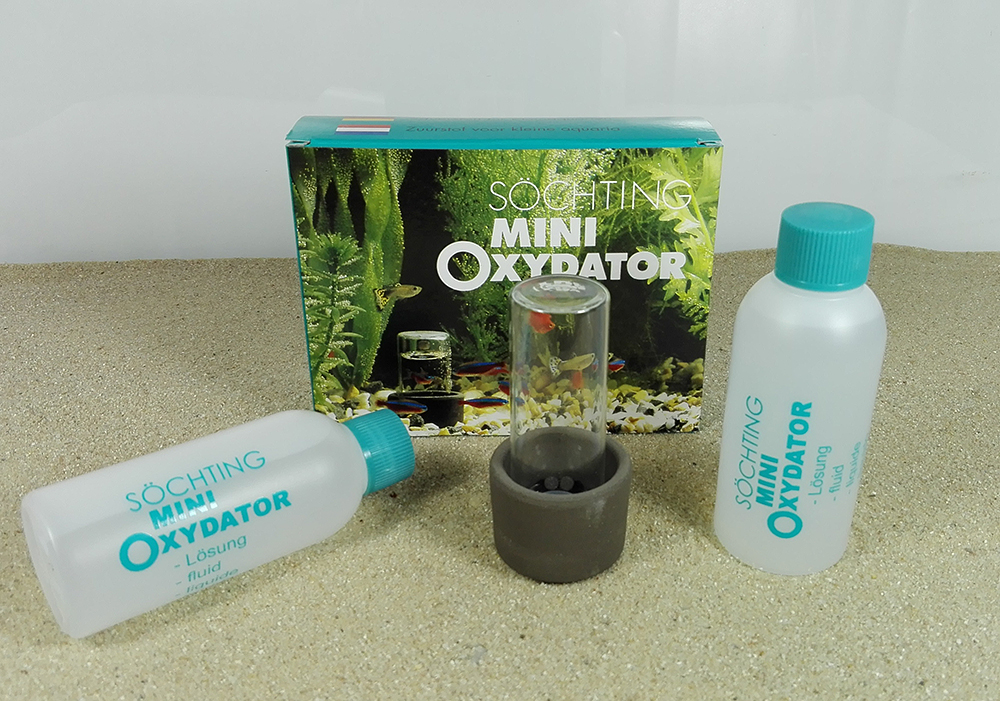 Peringkat pembersih kolam terbaik untuk tahun 2025