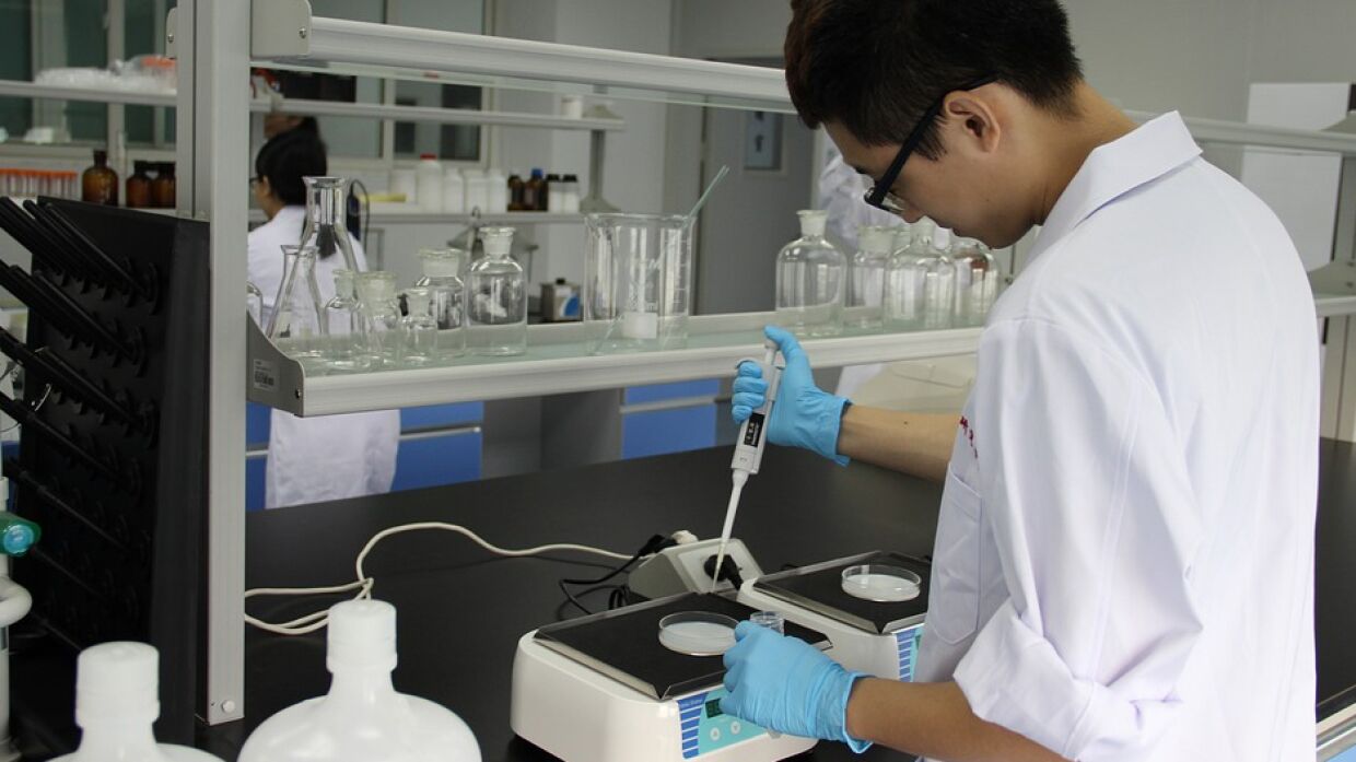 Peringkat tabel laboratorium terbaik untuk 2025