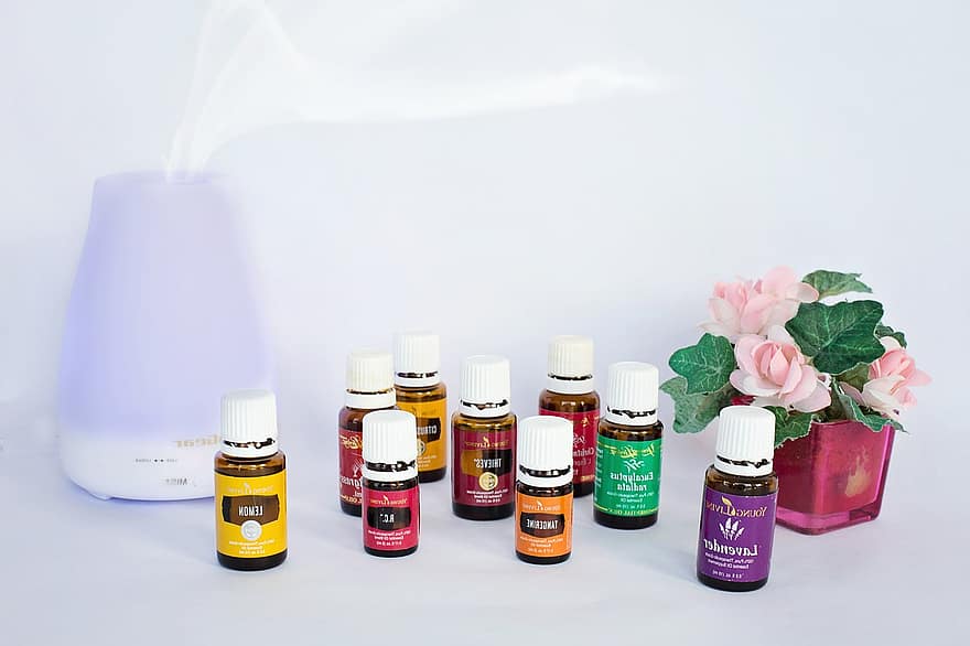 2025 کے لیے غسل کے لیے بہترین خوشبوؤں کی درجہ بندی