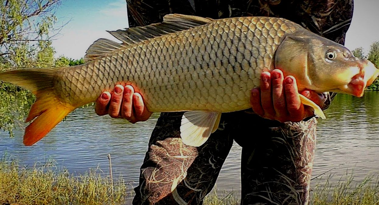 2025 کے لیے بہترین بائٹ ایکٹیویٹرز کی درجہ بندی