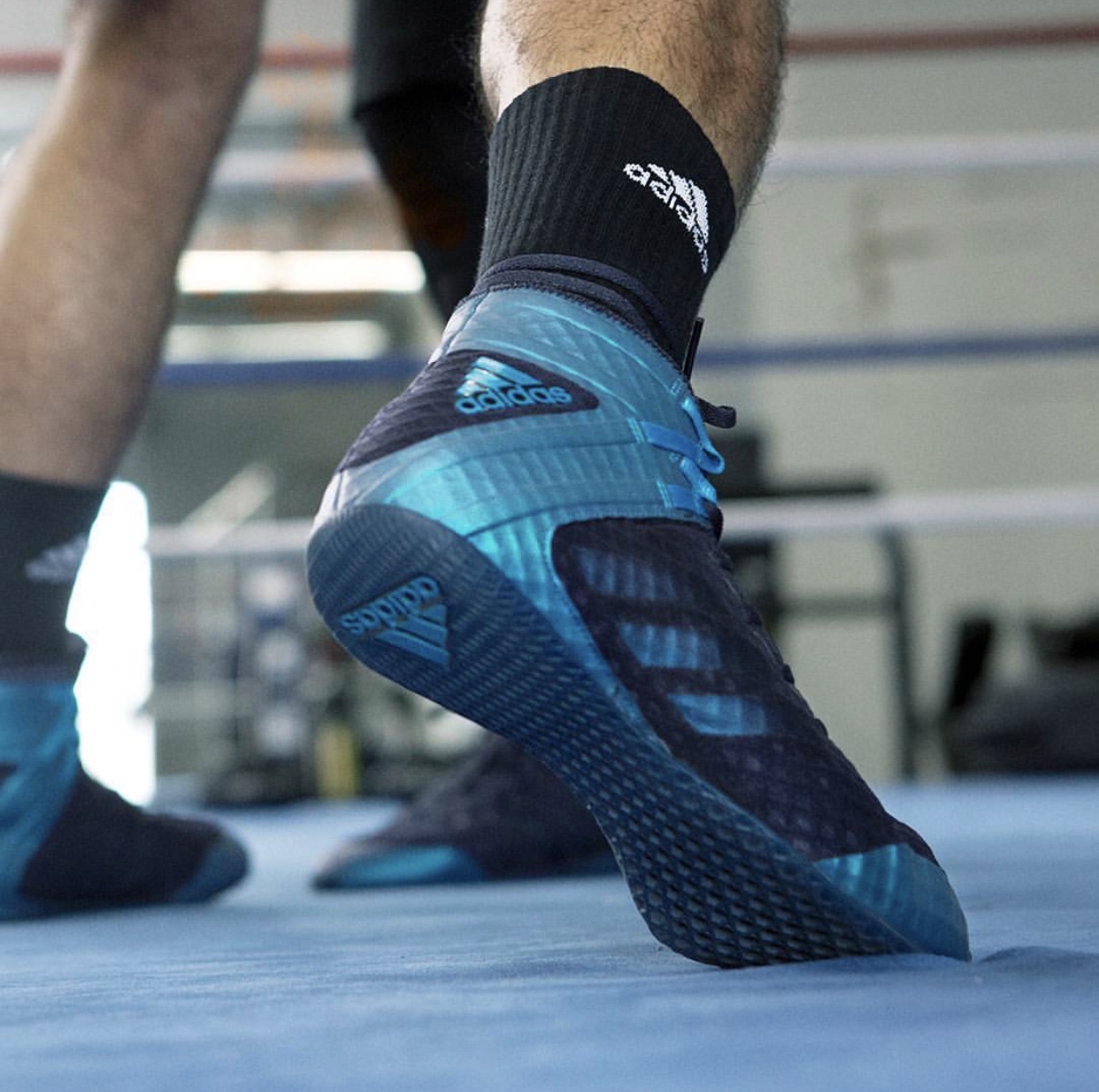 Peringkat petinju terbaik untuk 2025