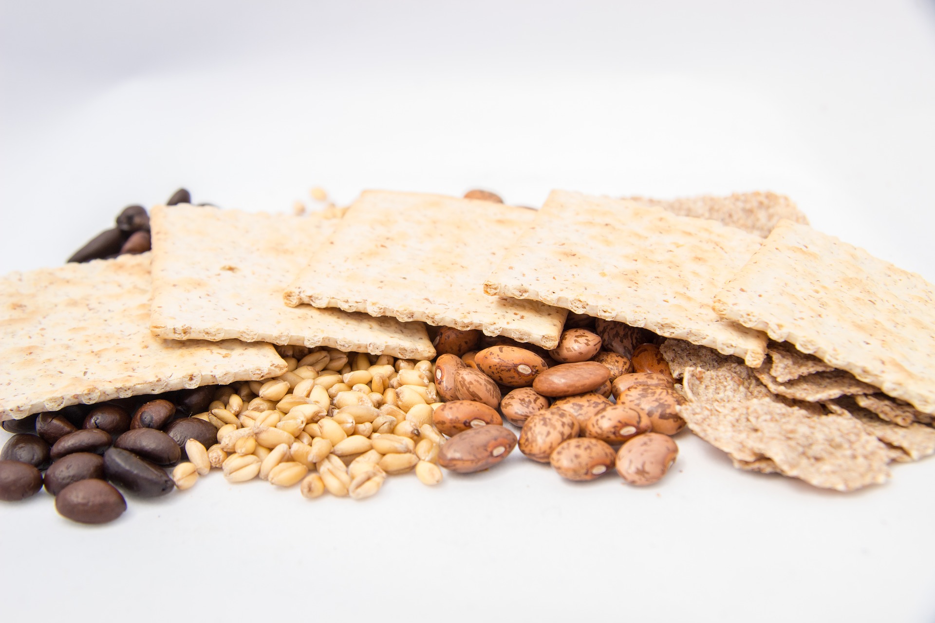 Ranking de la mejor fibra para 2025