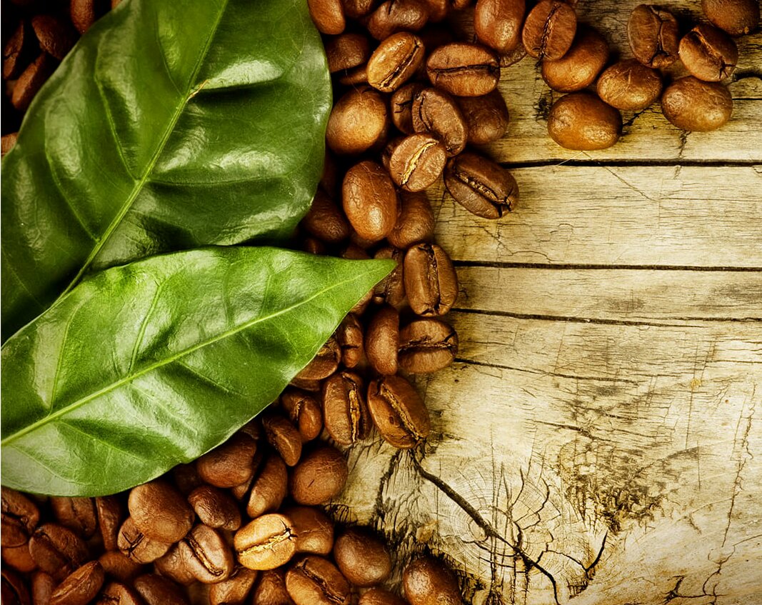 2025 کے لیے وینڈنگ کافی مشینوں کے بہترین ماڈلز کی درجہ بندی