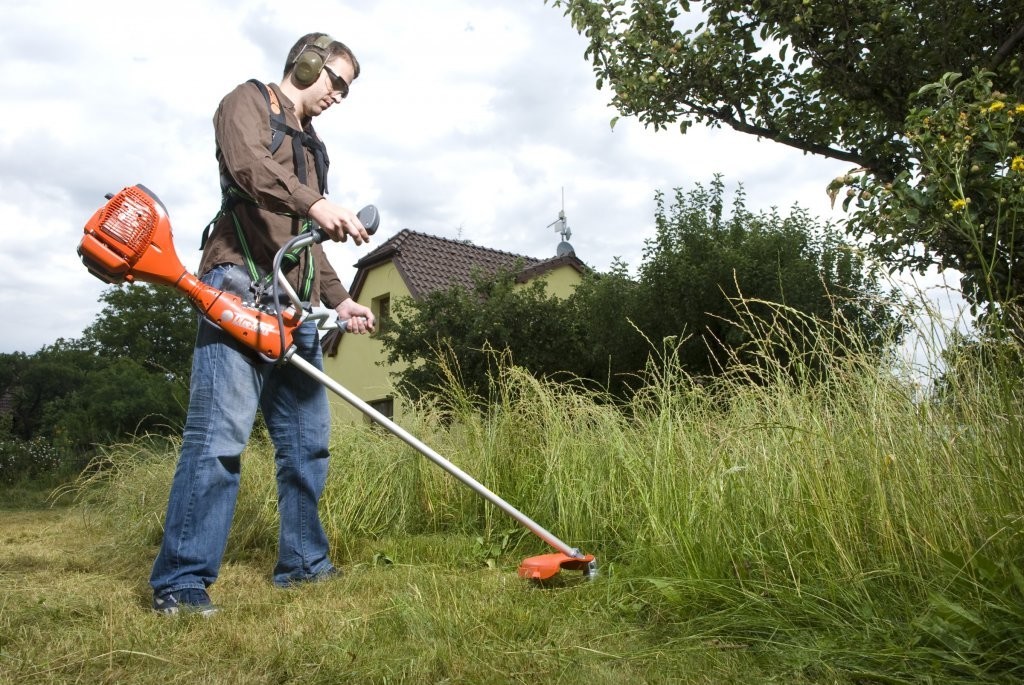 Peringkat pisau dan cakram terbaik untuk pemangkas untuk tahun 2025