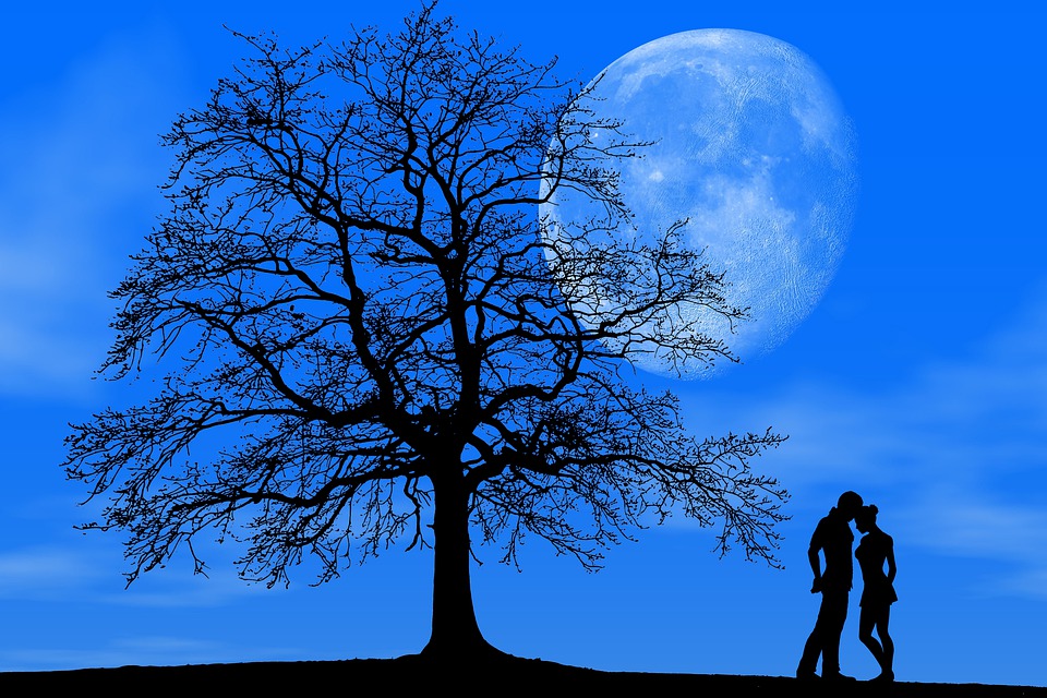 2025 کے لیے بہترین بیضوی ٹیسٹوں کی درجہ بندی