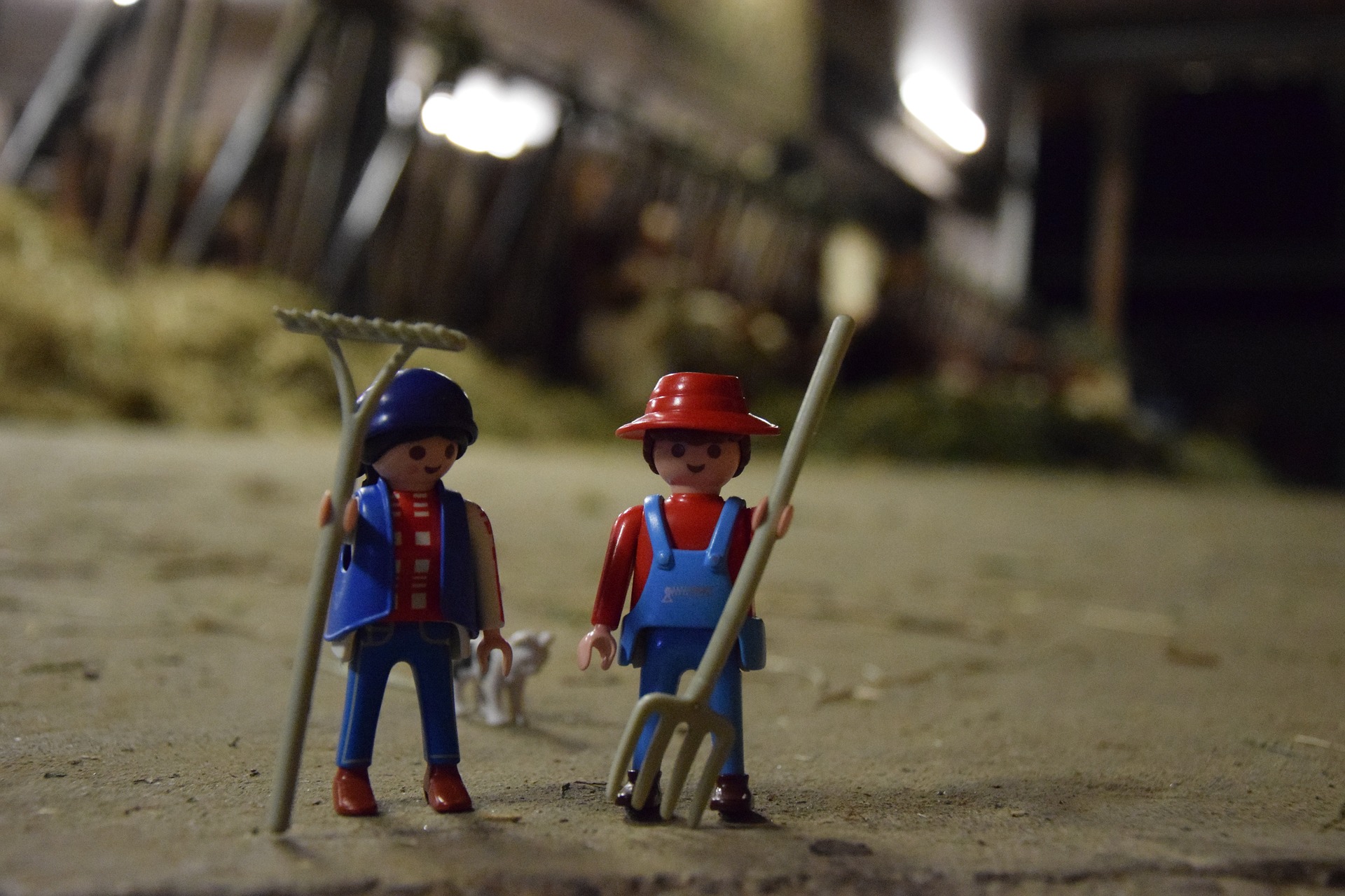 Peringkat vila taman terbaik untuk pondok musim panas untuk 2025