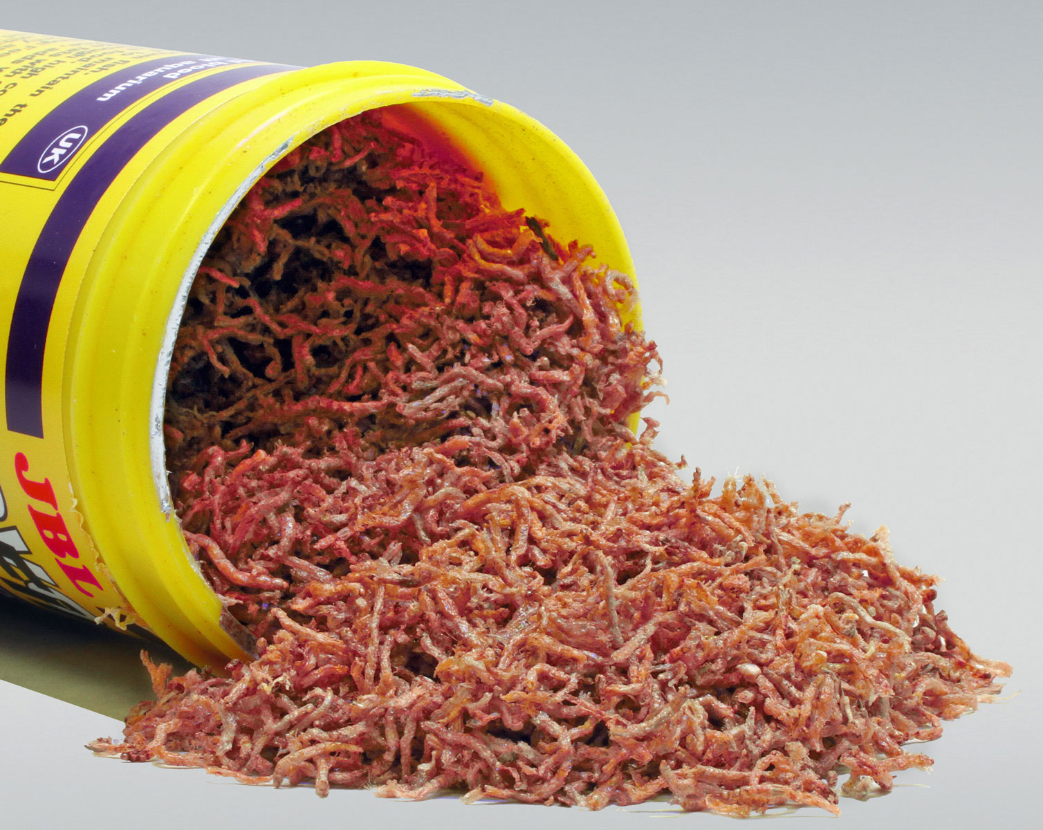 ترتيب أفضل غذاء للأسماك في عام 2025