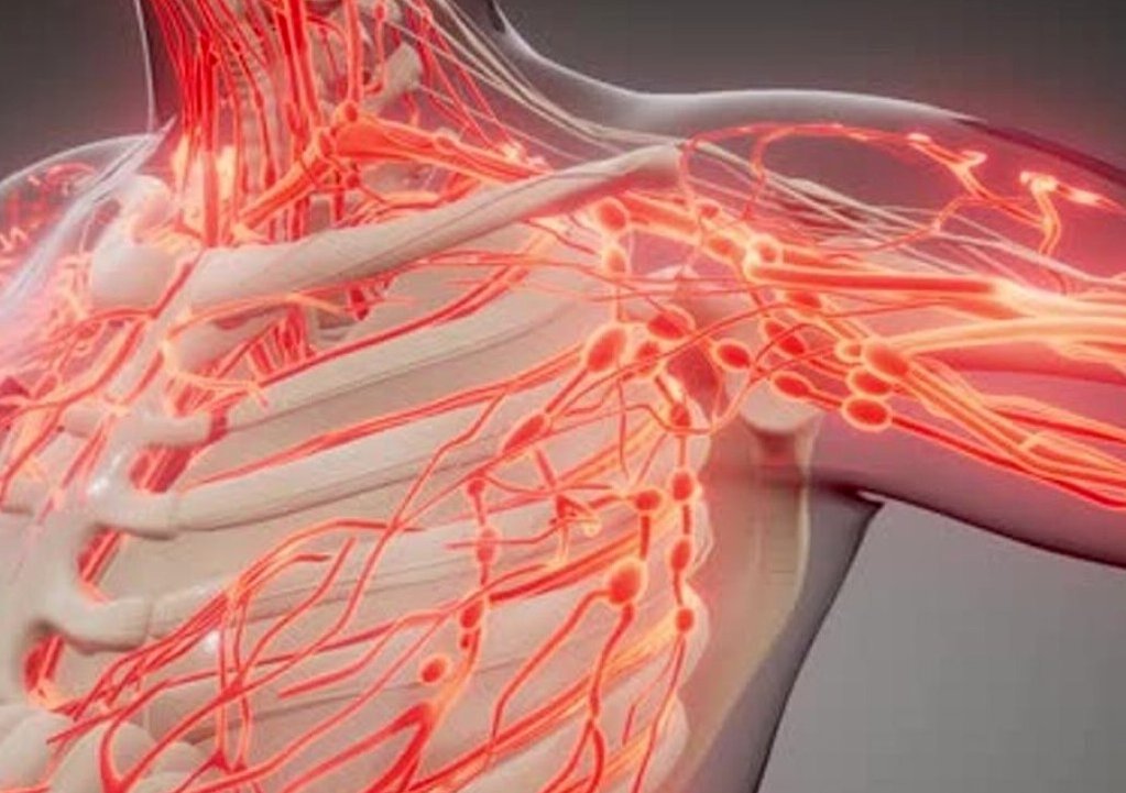 Hodnotenie najlepších cievnych liekov za rok 2025