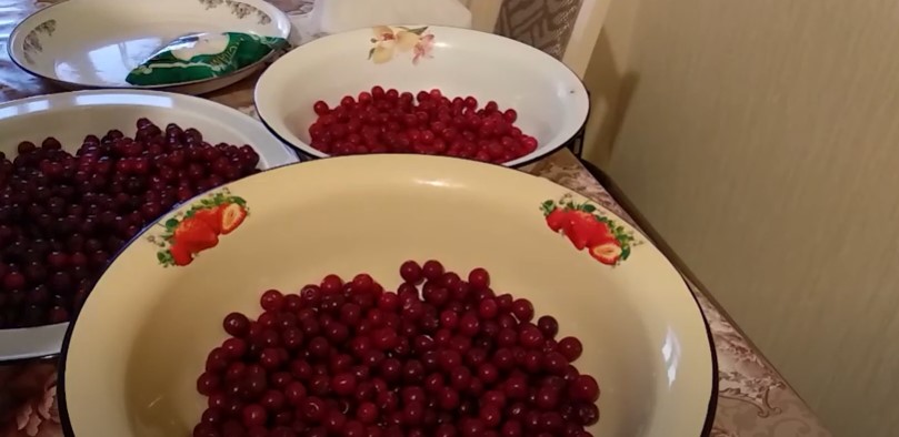 דירוג האגנים הטובים ביותר למטבח לשנת 2025