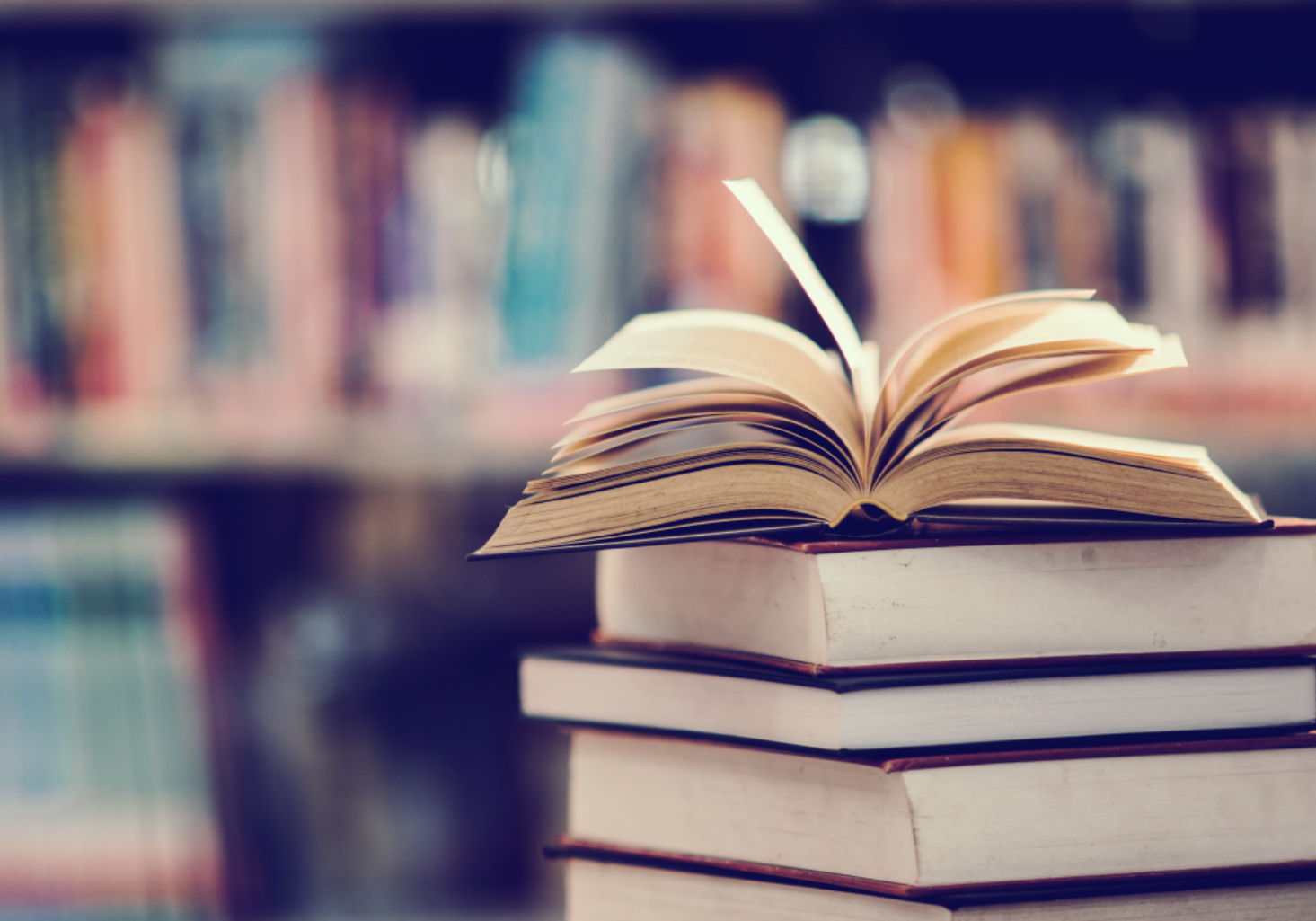 Peringkat buku-buku terbaik tentang ekonomi untuk tahun 2025