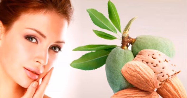 2025 کے لیے بادام کے بہترین چھلکوں کی درجہ بندی