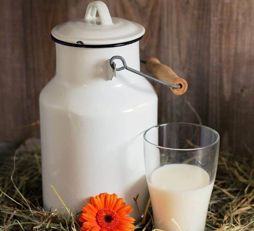 דירוג הפחיות הטובות ביותר לשנת 2025