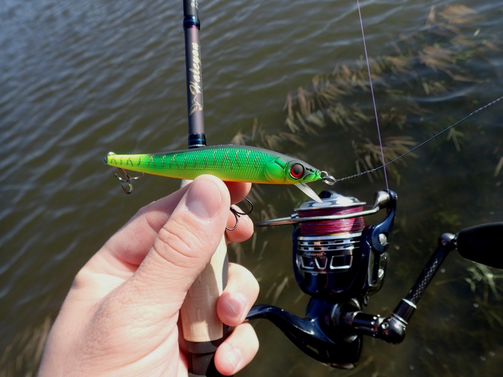 2025 کے لیے زینڈر کے لیے بہترین wobblers کی درجہ بندی