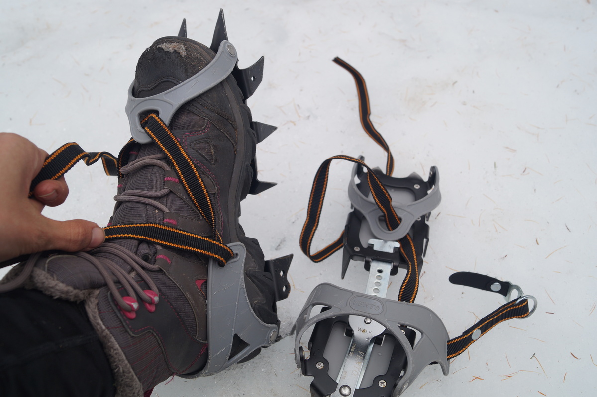 Peringkat kucing terbaik untuk pendaki untuk tahun 2025