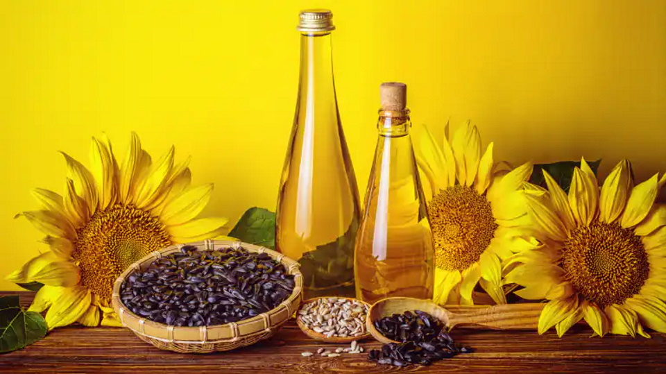 2025 کے لیے بہترین بیجوں کی درجہ بندی