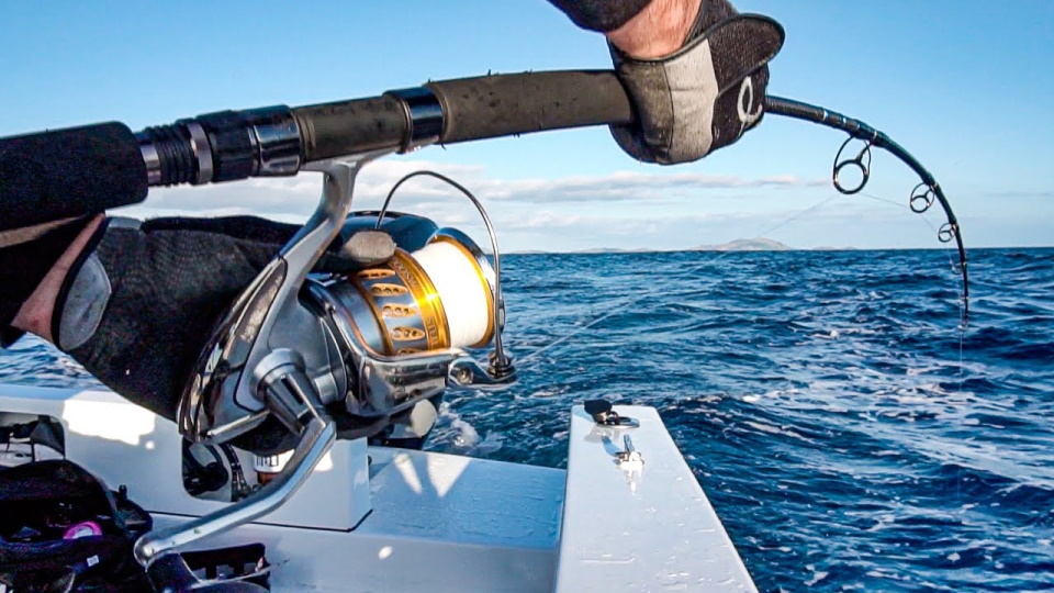 2025 کے لیے بہترین جگ کوائلز کی درجہ بندی