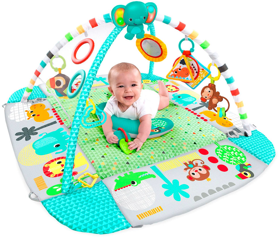 2025 کے لیے بہترین تعلیمی میٹ کی درجہ بندی