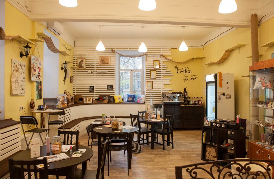 2025 کے لیے ماسکو میں بہترین اینٹی کیفے کی درجہ بندی