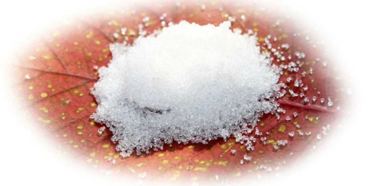 Peringkat tawas kalium terbaik untuk 2025