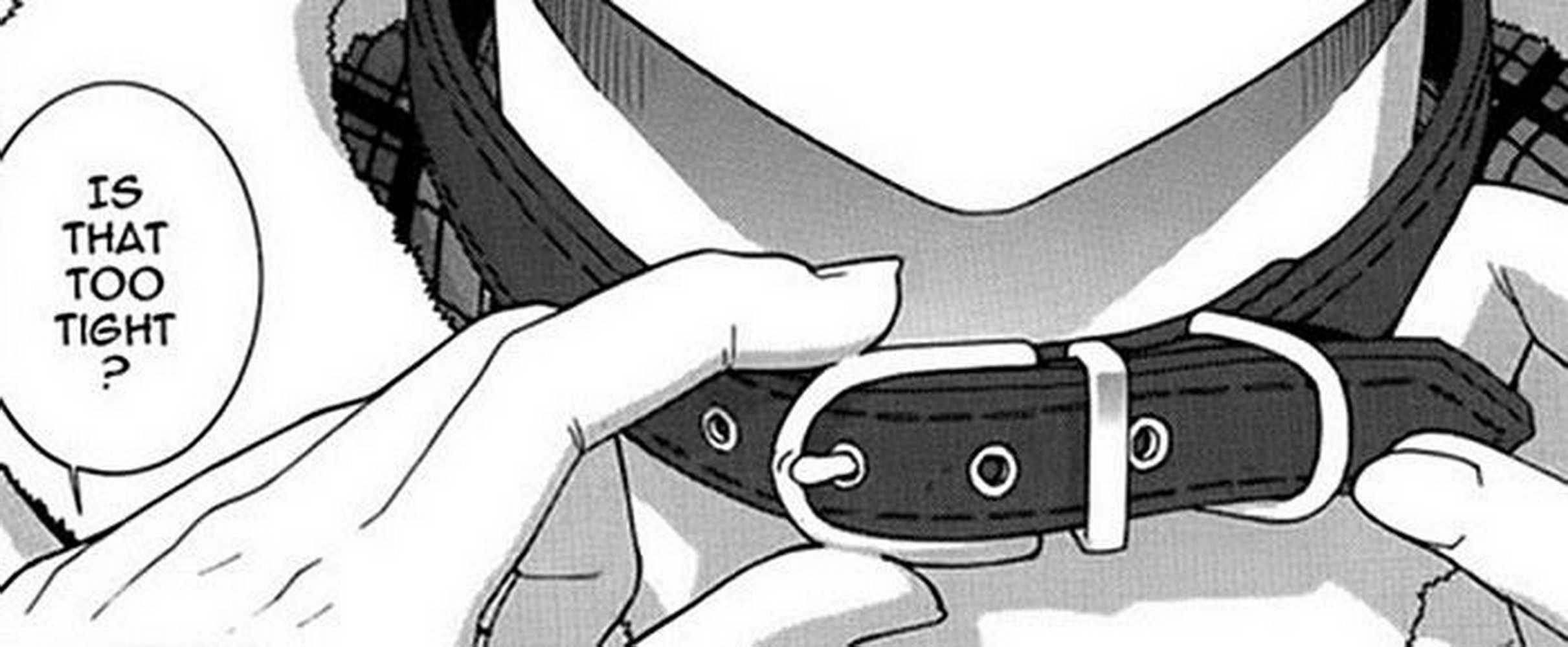 Peringkat mainan BDSM terbaik untuk 2025